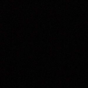 Meet your Posher, Cheyenne